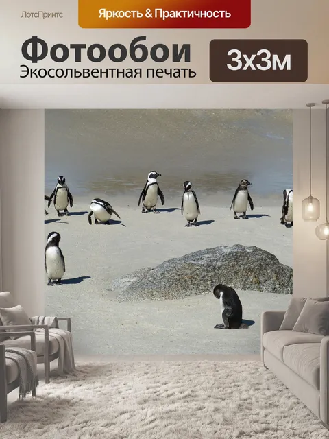 Фотообои Южная африка