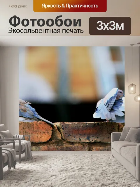 Фотообои Два голубя на стене
