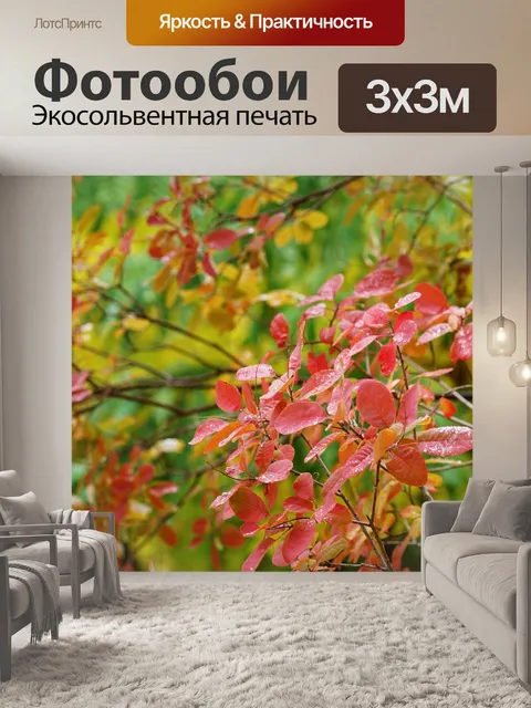 Фотообои Осень