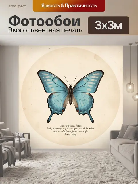 Фотообои Голубая бабочка на светлом фоне