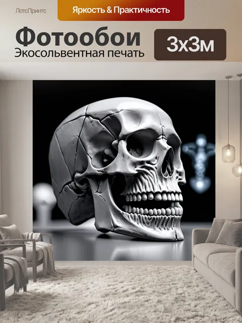 Фотообои анатомия человеческого черепа