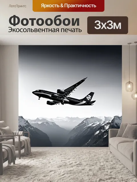 Фотообои самолет в черно-белом стиле, парящий над горами с заснеженными вершинами