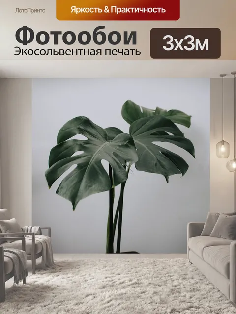 Фотообои Монстера растение