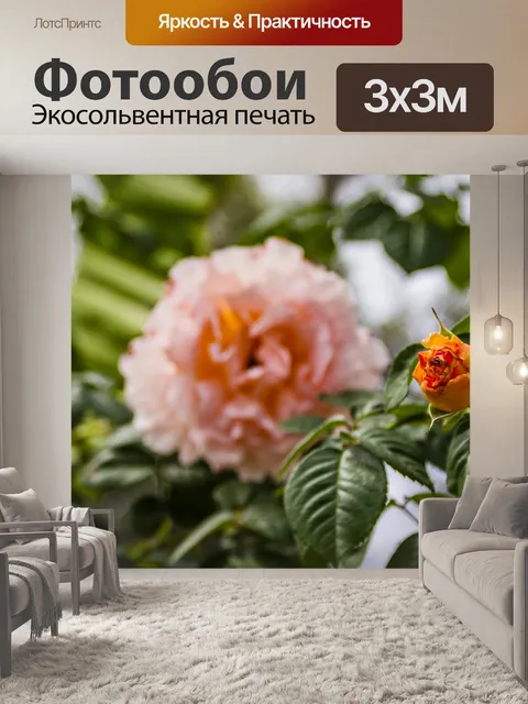 Фотообои Бутон розы