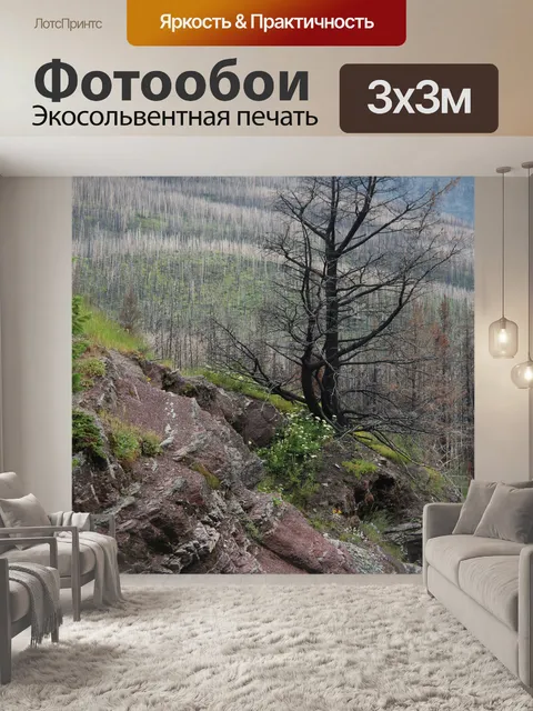 Фотообои Постоянное сгоревшее дерево