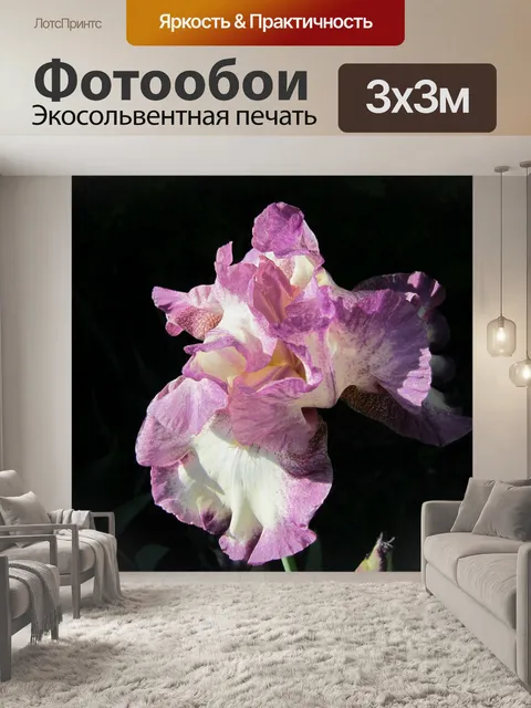 Фотообои Ирис