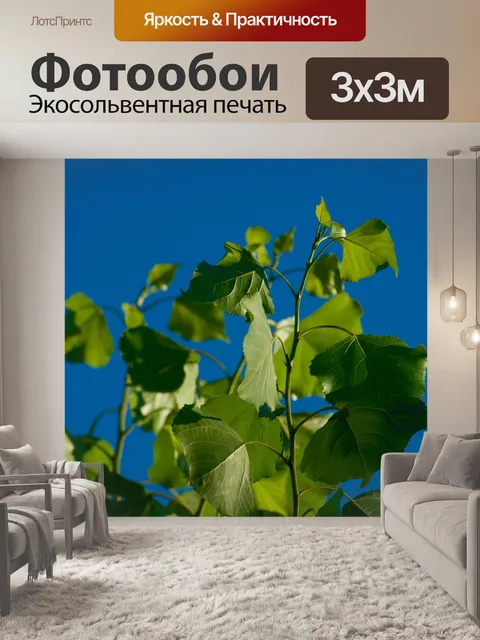 Фотообои Голубое небо