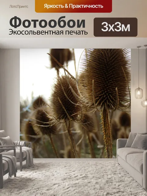 Фотообои Ворсянка
