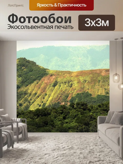 Фотообои лес
