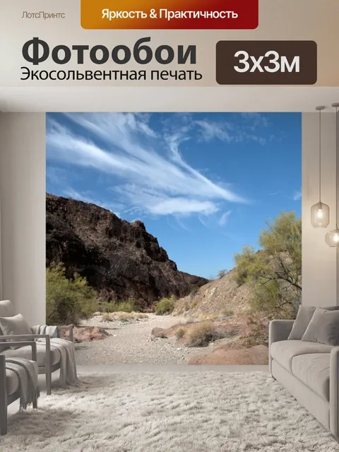 Фотообои Аризонский пустынный пейзаж