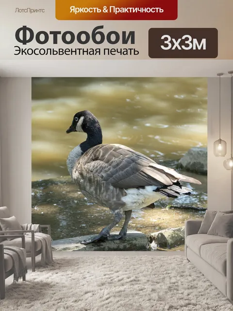 Фотообои Гусь