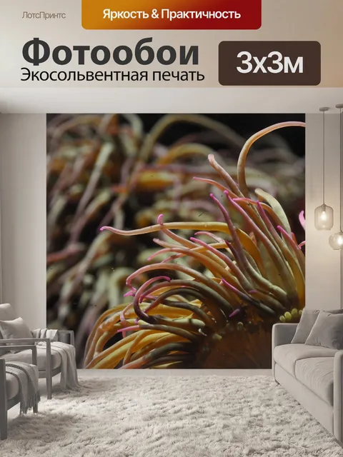 Фотообои Коралл