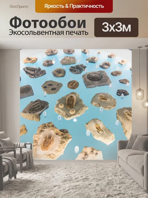 Фотообои трилобиты