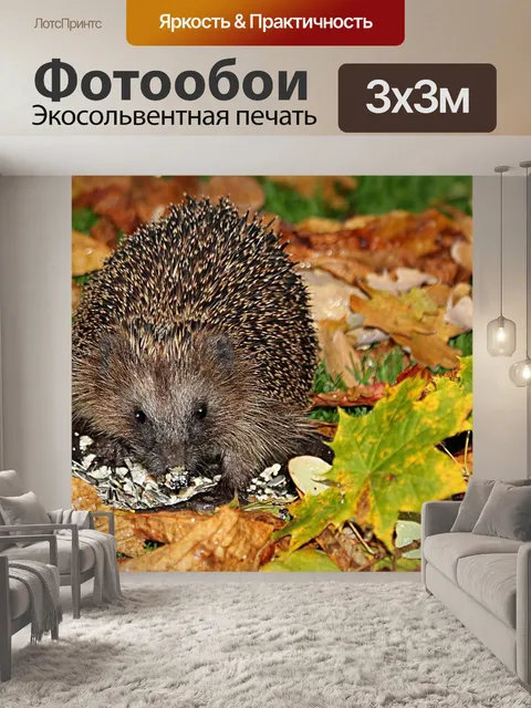 Фотообои Животное