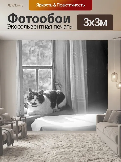Фотообои Кот в окне