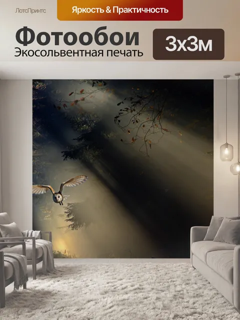 Фотообои Сова