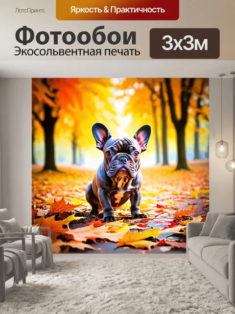 Фотообои герда, французский бульдог, с интересом исследует яркие осенние листья в парке