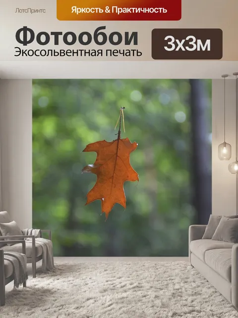 Фотообои Лист