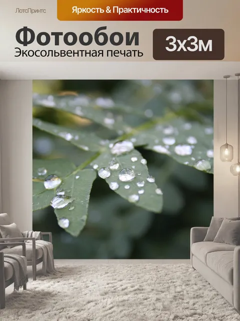Фотообои Лист