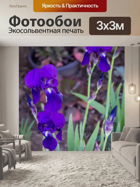 Фотообои Фиолетовые цветы ириса