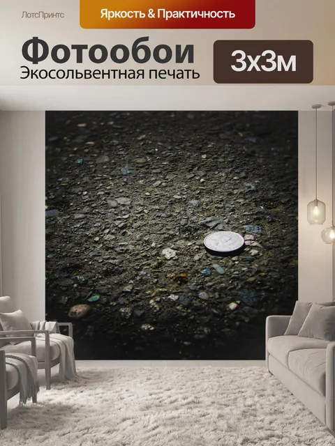 Фотообои Монета на улице
