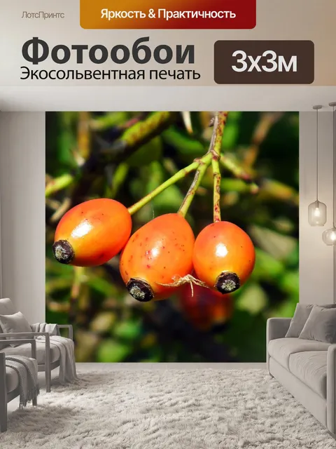 Фотообои Фрукты