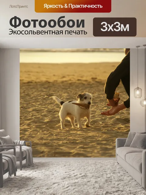 Фотообои Собака