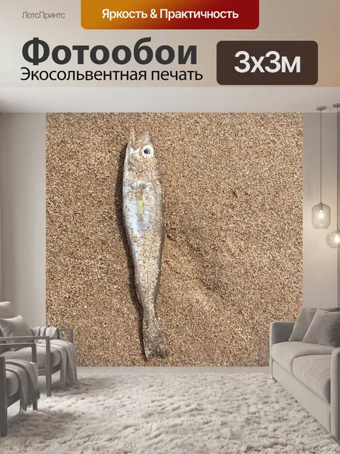 Фотообои Рыбы
