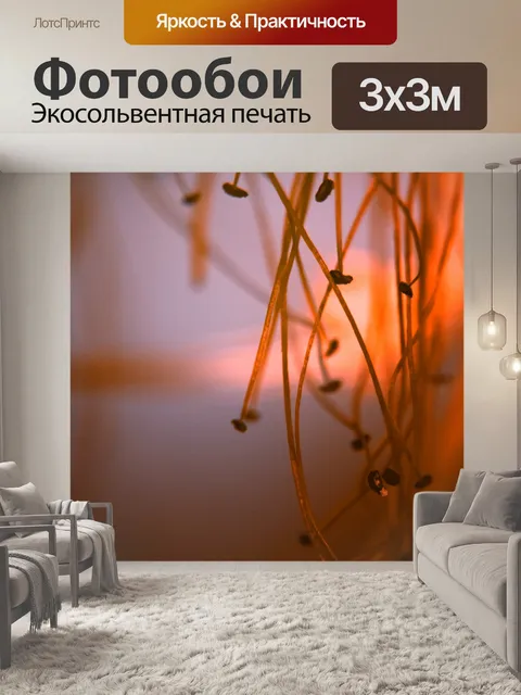Фотообои Цветочный макрос 17