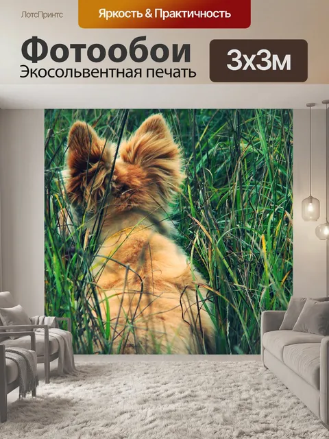 Фотообои Собака