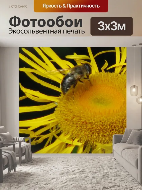 Фотообои Желтый цветок с диким пчелы