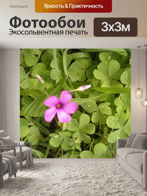 Фотообои Клевер
