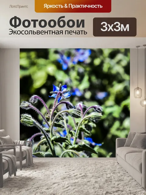 Фотообои Цветущий завод голубой Нечеткий