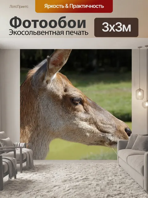 Фотообои Замша