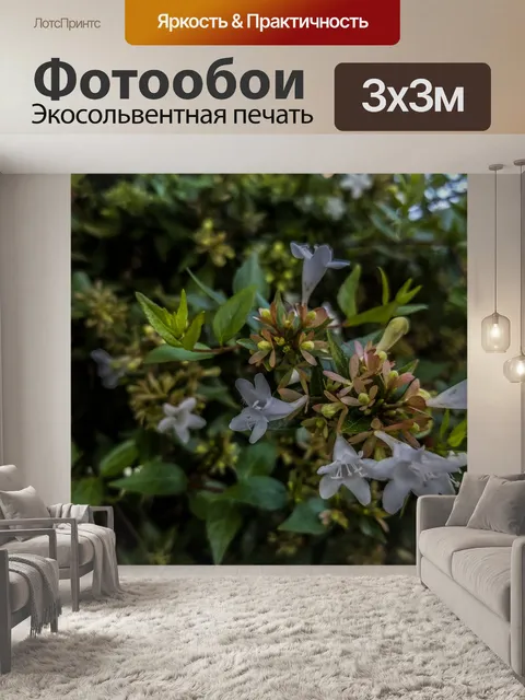 Фотообои Белые цветы