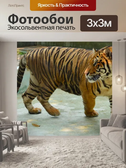 Фотообои Тигр