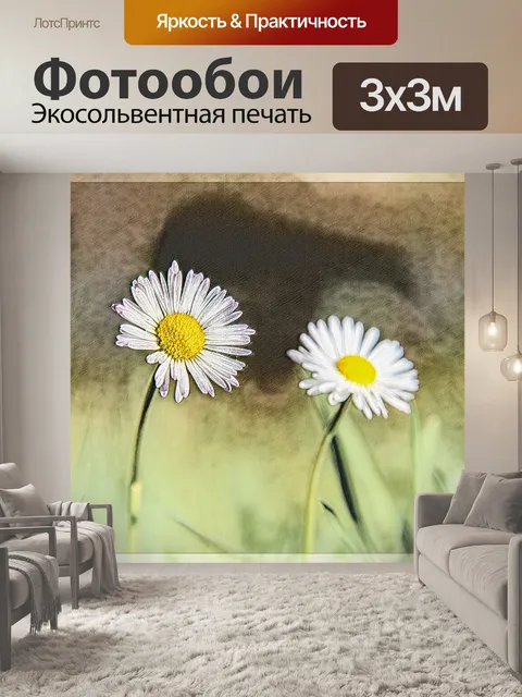 Фотообои Дейзи, обработка фотографий, флора