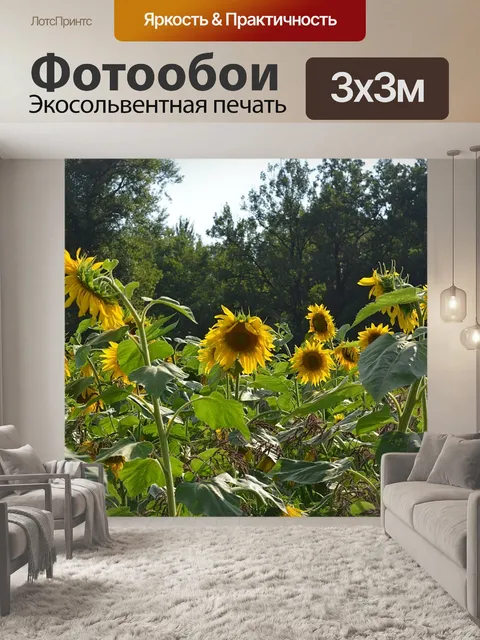 Фотообои Поле подсолнухов