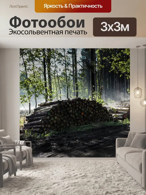 Фотообои Утренняя дымка