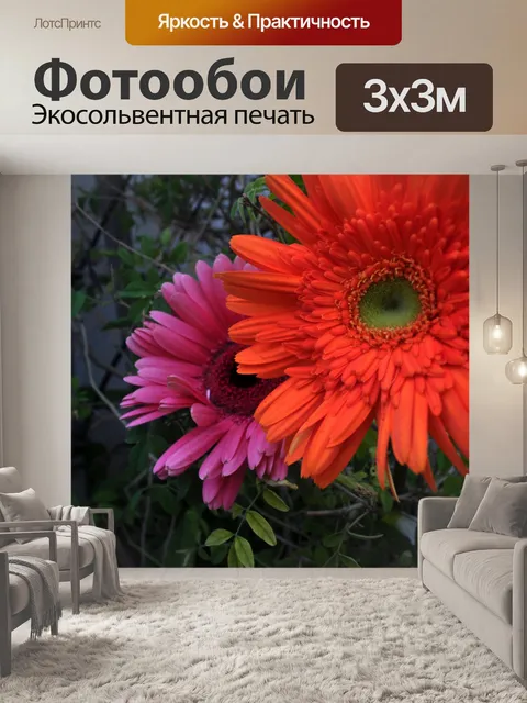 Фотообои Гербера ромашка 02