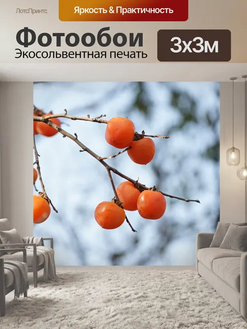 Фотообои Хурма