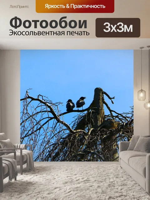 Фотообои Дерево