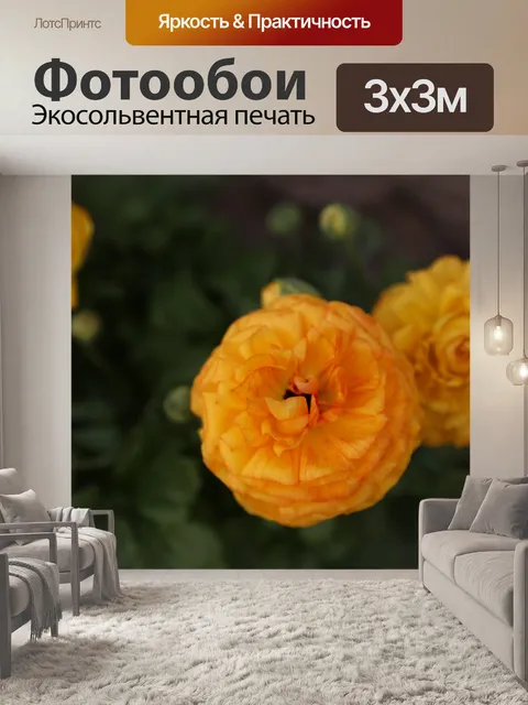 Фотообои Желтые цветы