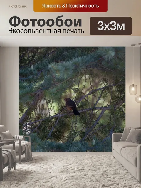 Фотообои Птица в дереве
