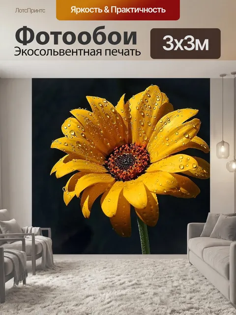 Фотообои Дождь