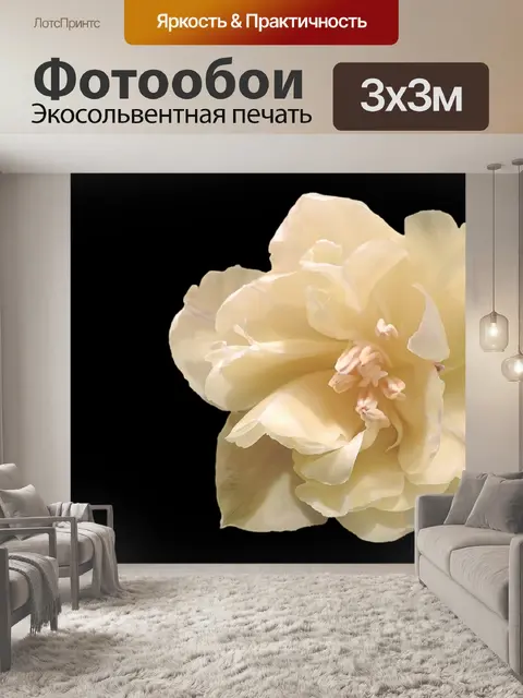 Фотообои Тюльпан