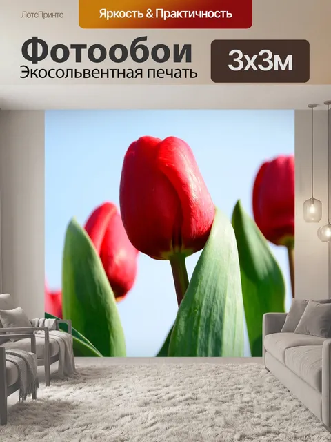 Фотообои Тюльпан