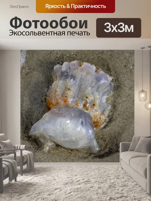 Фотообои мертвая медуза