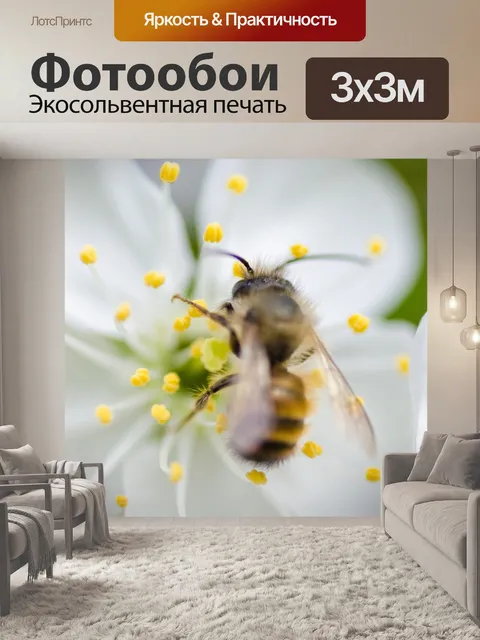 Фотообои Белый