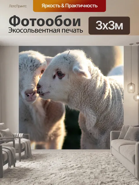 Фотообои Ягненок